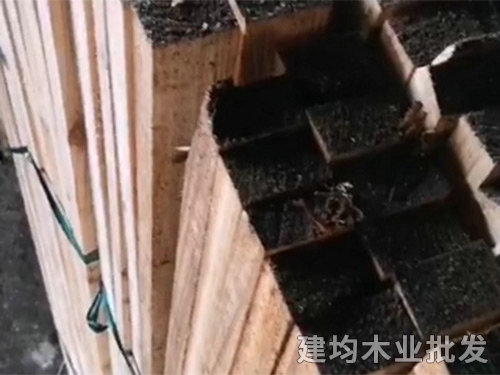 杉木木方 杉木木方